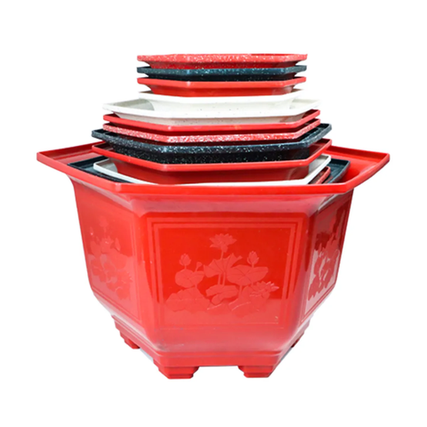 Chậu Lục Giác - Chậu Bonsai