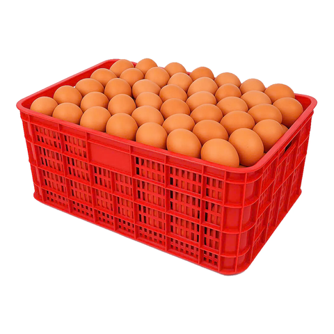 Sóng Hở Đựng Trứng - 610x420x250mm