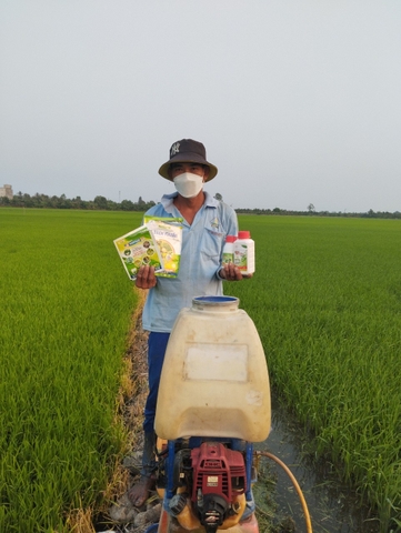 Nông dân đang đứng ở cánh đồng lúa cầm sản phẩm của công ty Thiên Bình