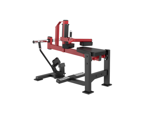 Máy Tập Bắp Chân Ngồi, Model: XVD019