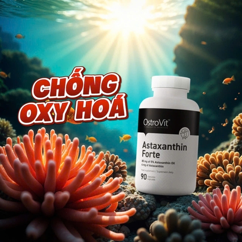 Astaxanthin Nên Uống Vào Sáng Hay Tối?