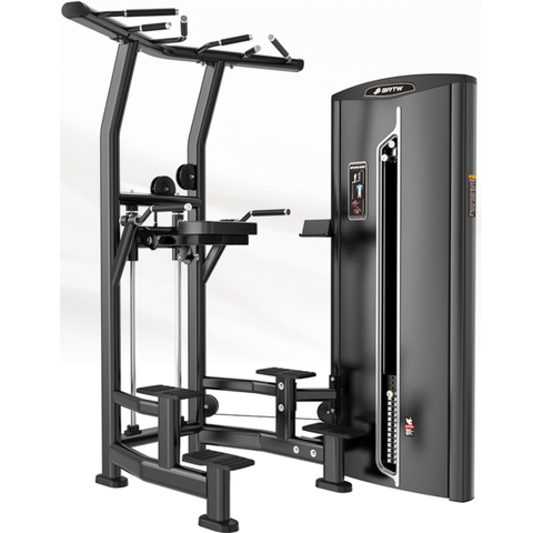 Dip/Chin Assist BF10