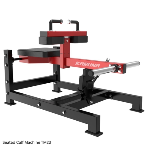 Seated Calf Machine TM23