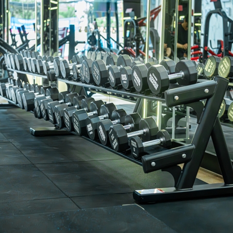 Tạ Tay Cố Định 12 Cạnh Hammer Strength 26005