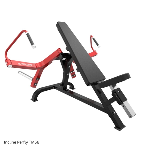 Incline Perfly TM56
