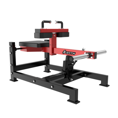 Seated Calf Machine TM23
