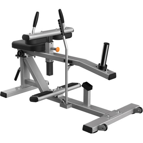 Máy Tập Bắp Chân Ngồi, Model: TH029