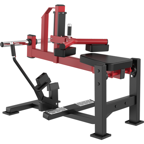 Máy Tập Bắp Chân Ngồi, Model: XVD019