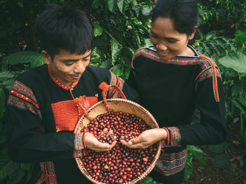 Thuê xe TP.HCM đi Buôn Ma Thuột 3N2Đ: Bảo tàng Cà phê – thác Dray Nur – hồ Lắk, trải nghiệm văn hóa Êđê