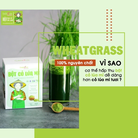 Bột Cỏ Lúa Mì Dalahouse Giảm Tiểu Đường