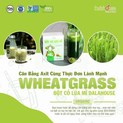 Bột Cỏ Lúa Mì Dalahouse Giảm Tiểu Đường