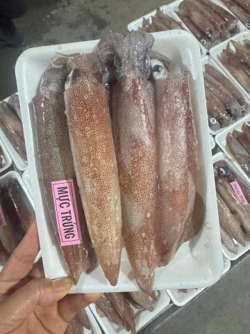 MỰC NHÁY TRỨNG /1kg