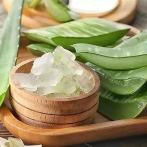 Nha Đam