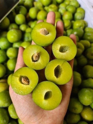 MẬN ( hộp )