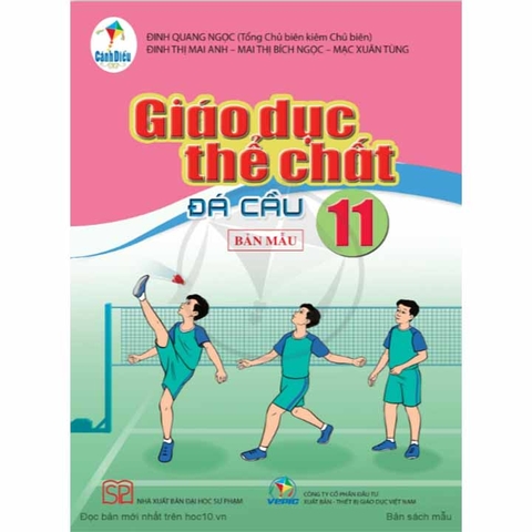 Giáo Dục Thể Chất Lớp 11 - Đá Cầu (Cánh Diều)