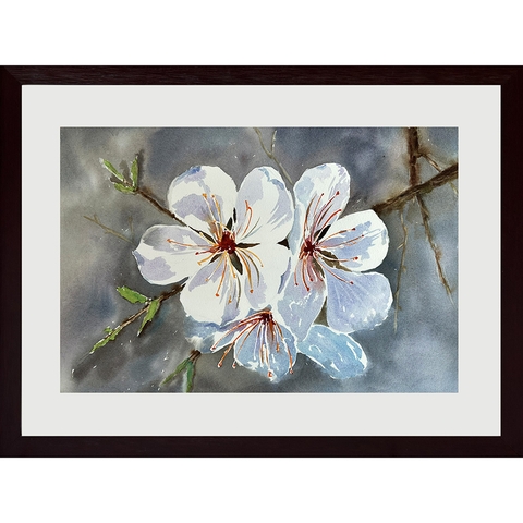 Tranh Màu Nước - Hoa Lê - ADC215