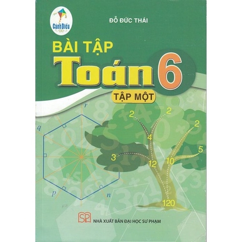 Bài tập Toán lớp 6 tập 1 (Cánh Diều)