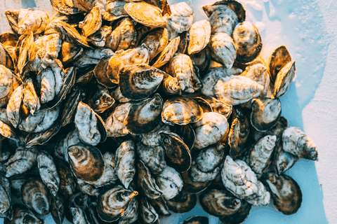 Massachusetts (Mainland) Oysters