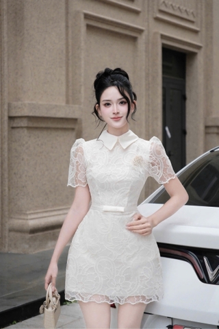 Đầm cổ sơ mi ren chân chữ A