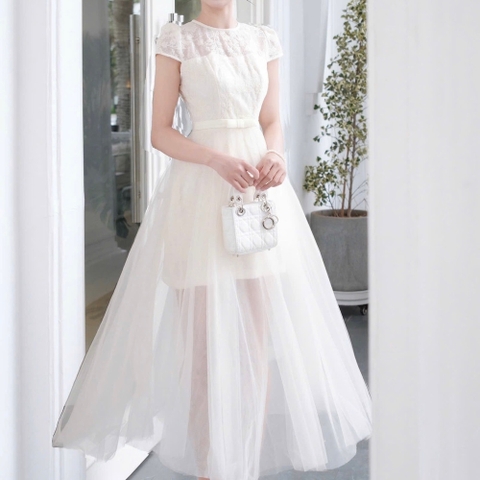 Đầm thiết kế