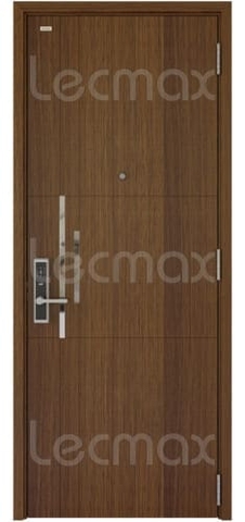 Cửa Thép Vân Gỗ 1 Cánh Đính LM208