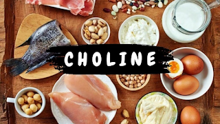 Con học nhanh, nhớ lâu nhờ bổ sung Choline đúng cách