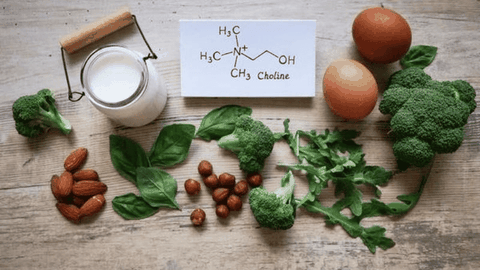 Choline – Dưỡng chất xây “bộ nhớ dài hạn” cho trẻ