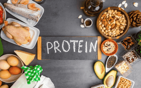 Thức ăn bổ sung protein cho trẻ biếng ăn
