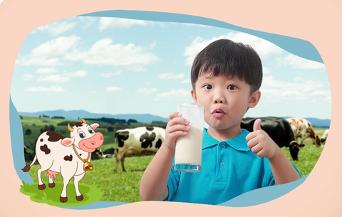 SỮA NEW ZEALAND CHO TRẺ EM: VÌ SAO ĐƯỢC BA MẸ TIN CHỌN?