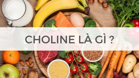 Chonline: Dưỡng chất hỗ trợ phát triển trí não cho bé