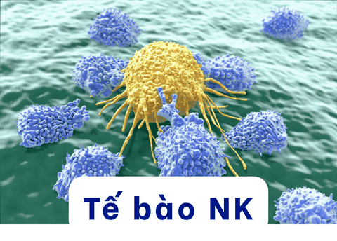 Tầm quan trọng của việc bảo vệ tế bào tiêu diệt tự nhiên (NK) cho trẻ