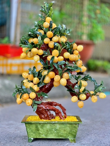 Cây Đào Ngọc Hoàng Long 68 quả  - Cao 73cm