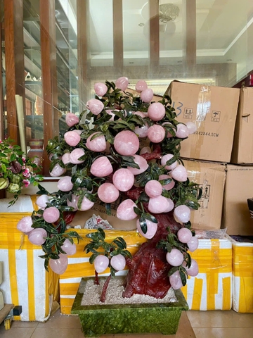 Cây đào Thạch Anh Hồng 68 quả - Cao 1,2m