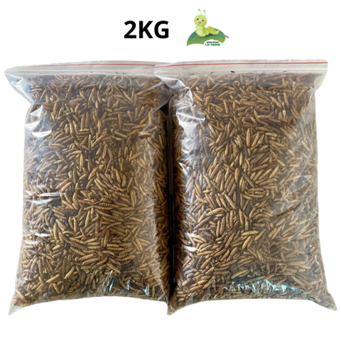 2KG Sâu Canxi Sấy Khô, Sấy Phồng