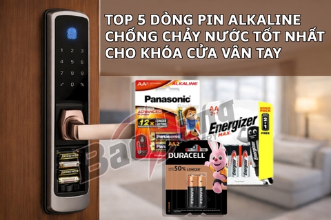 Top 5 dòng pin Alkaline chống chảy nước tốt nhất cho khóa cửa vân tay