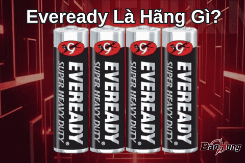 Eveready Là Hãng Gì?