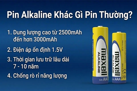 Pin Alkaline Khác Gì Pin Thường? So Sánh Chi Tiết Từ Chuyên Gia