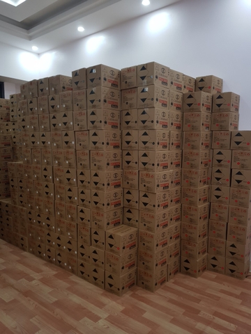 Sơn Phun  Màu Thông Dụng Goldnova - 3 hộp