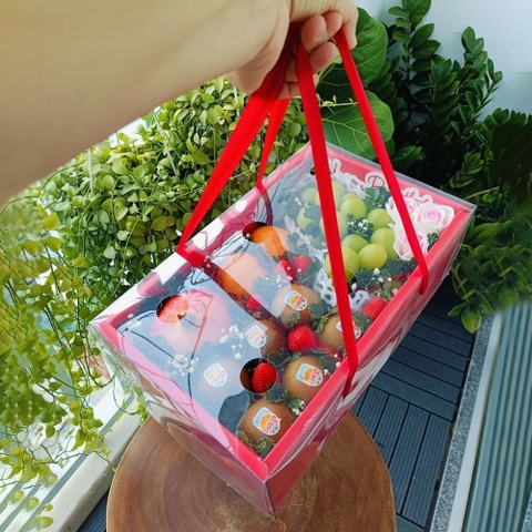 Hộp Đựng Hoa Quả, Trái Cây Nhập Khẩu (Họa Tiết In UV)