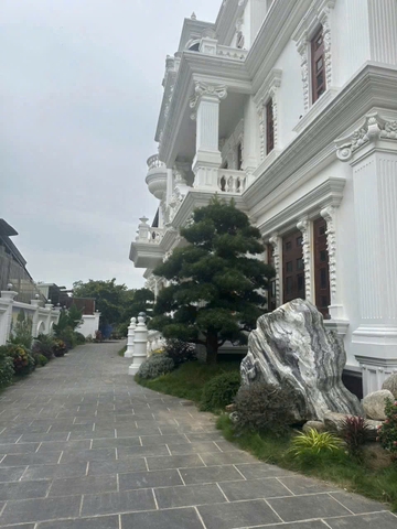 Đá cảnh