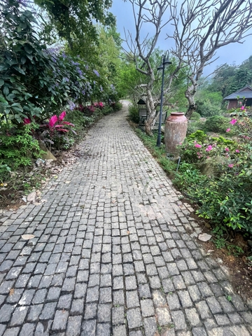 Đá Bazan băm mặt