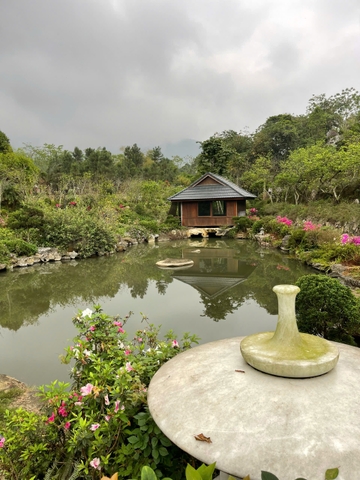 Đa bazan tự nhiên