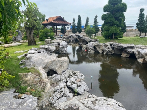 Cảnh quan hồ Koi