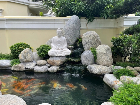Cảnh quan hồ Koi