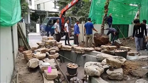 Cảnh quan hồ Koi