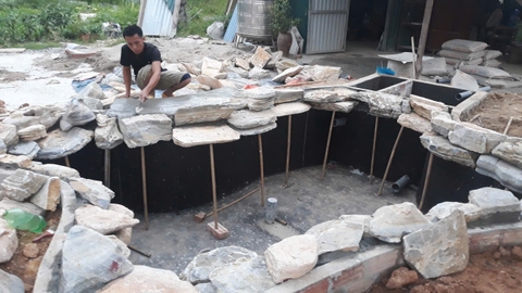Cảnh quan hồ Koi