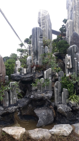 Cảnh quan hồ Koi