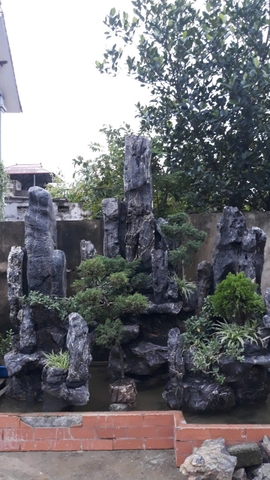 Cảnh quan hồ Koi