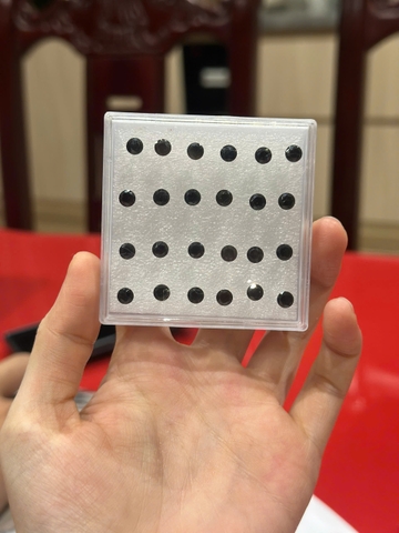 KLT 6k [1 Đôi] Bông Tai Đen