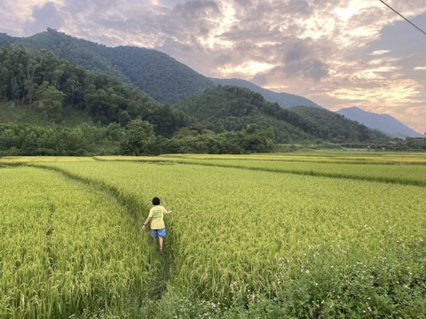 NƠM CÁ GIỮA ĐỒNG, NÚI CỐC THÁI NGUYÊN (Daily Tour)